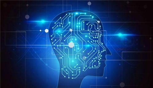 計算機軟件開發 政策東風下的熱門之選與未來展望